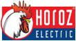 Horoz Electric