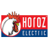 Horoz Electric