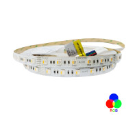 Світлодіодна стрічка 5050-60-IP20-RGB/WW-12-24 RD0260AC-A 3000K RISHANG