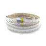 Світлодіодна стрічка 2835-120-IP67-CWd-10-24 RD30C0TC-B 6500K CRI80 RISHANG