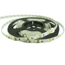 Світлодіодна стрічка 2835-120-IP33-CWd-8-24 RN08C0TC-B 6500K RISHANG