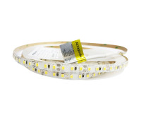 Світлодіодна стрічка 2835-120-IP20-CWd-8-12 RD08C0TA-B 6500K RISHANG