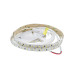Світлодіодна стрічка 2835-120-IP20-CWd-8-24 RD08C0TC-B 6500K CRI80 RISHANG